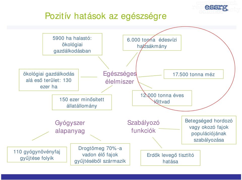 Egészséges élelmiszer 12.000 tonna éves lőttvad 17.