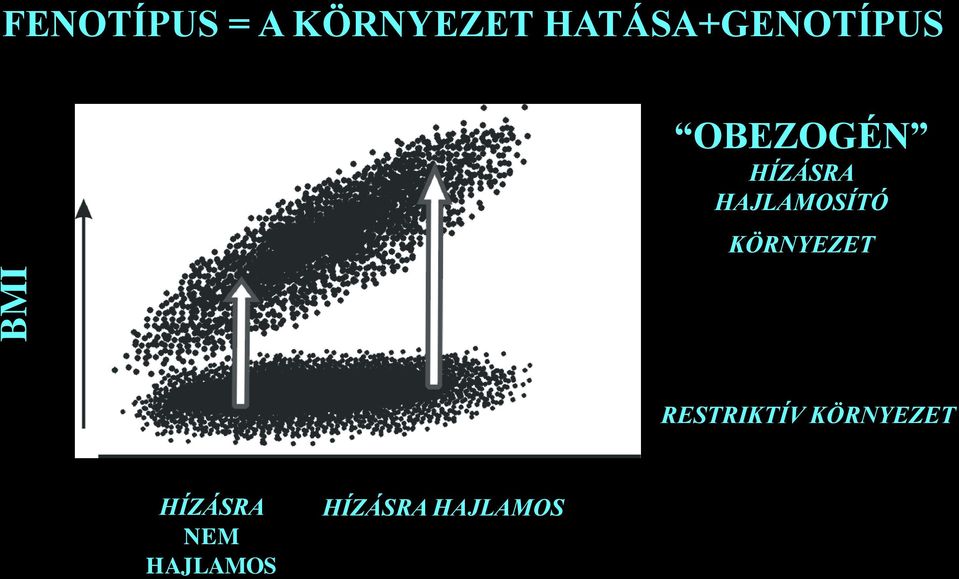 HAJAMOSÍTÓ KÖRNYEZET RESTRKTÍV