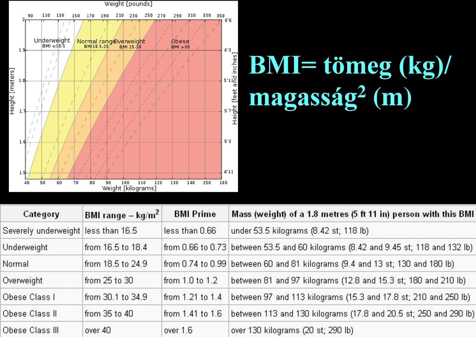 magasság