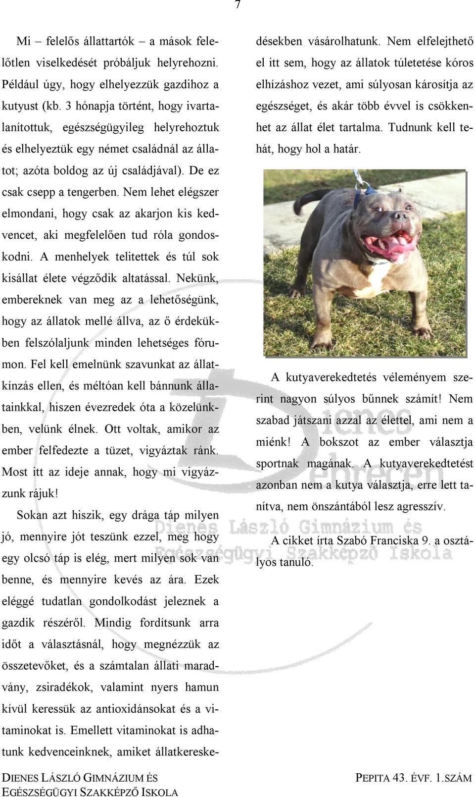 Emellett vitaminokat is adhatunk kedvenceinknek, amiket állatkereskedésekben vásárolhatunk.