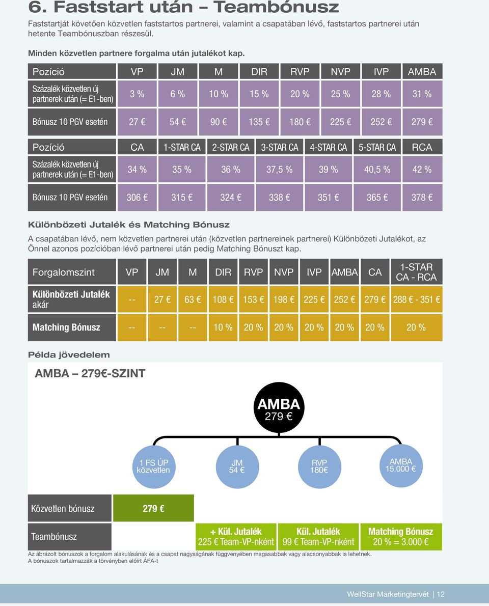 Pozíció VP JM M DIR RVP NVP IVP AMBA Százalék közvetlen új partnerek után (= E1-ben) 3 % 6 % 10 % 15 % 20 % 25 % 28 % 31 % Bónusz 10 PGV esetén 27 54 90 135 180 225 252 279 Pozíció CA 1-STAR CA