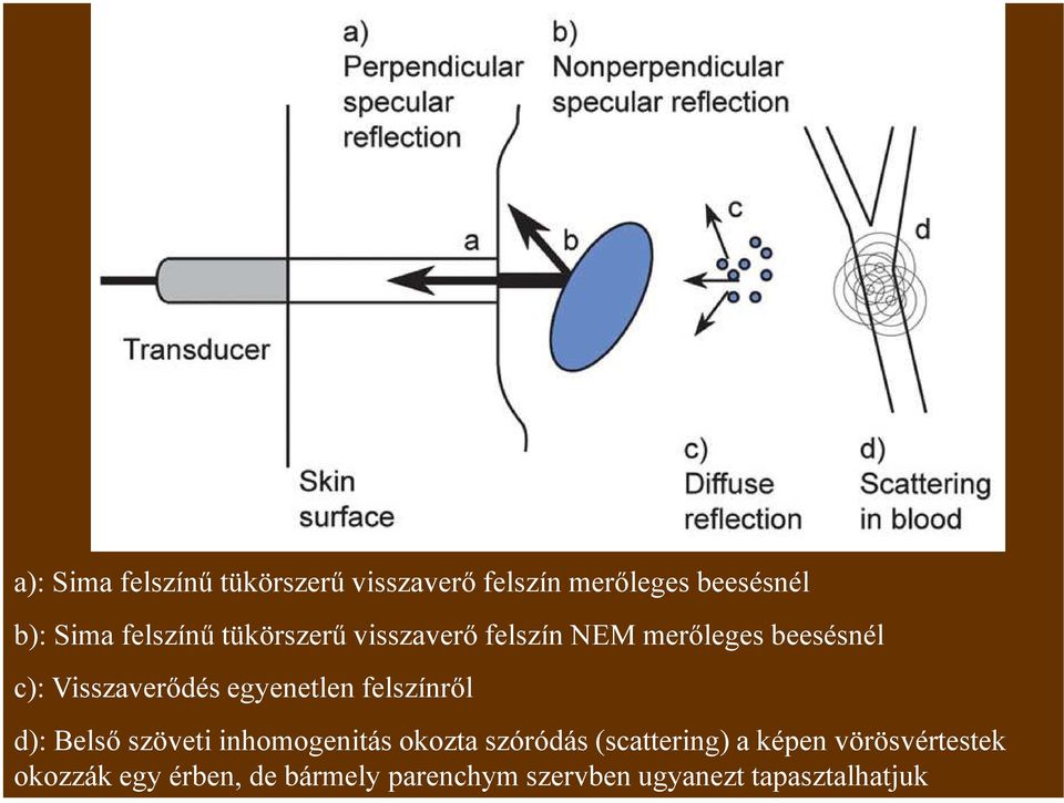 egyenetlen felszínről d): Belső szöveti inhomogenitás okozta szóródás (scattering) a