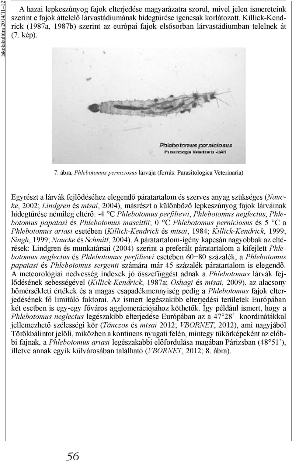 Phlebotomus perniciosus lárvája (forrás: Parasitologica Veterinaria) Egyrészt a lárvák fejlődéséhez elegendő páratartalom és szerves anyag szükséges (Naucke, 2002; Lindgren és mtsai, 2004), másrészt
