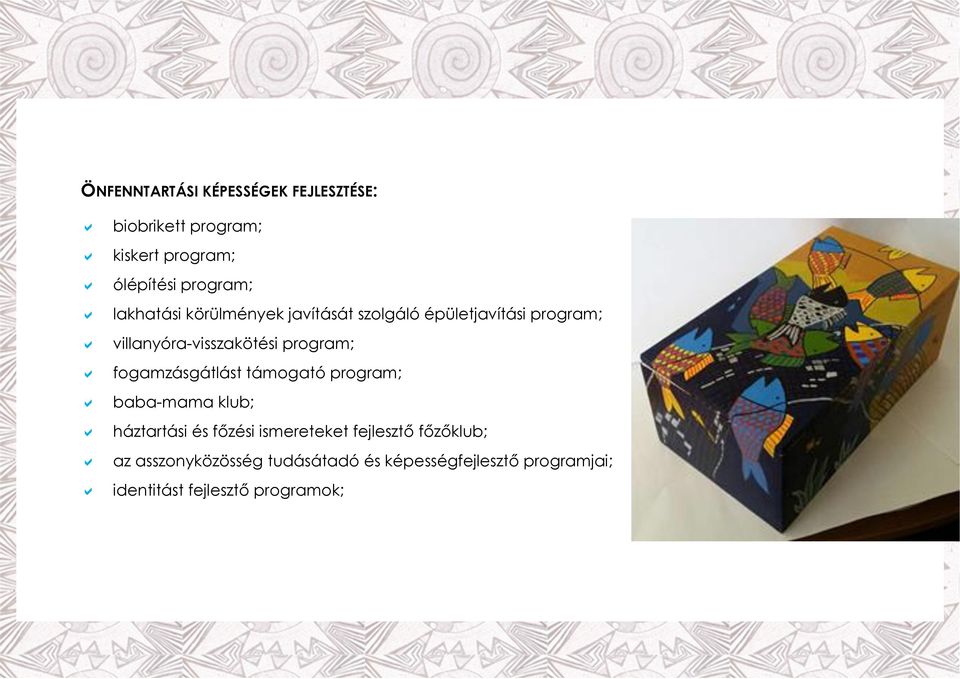 fogamzásgátlást támogató program; baba-mama klub; háztartási és főzési ismereteket fejlesztő