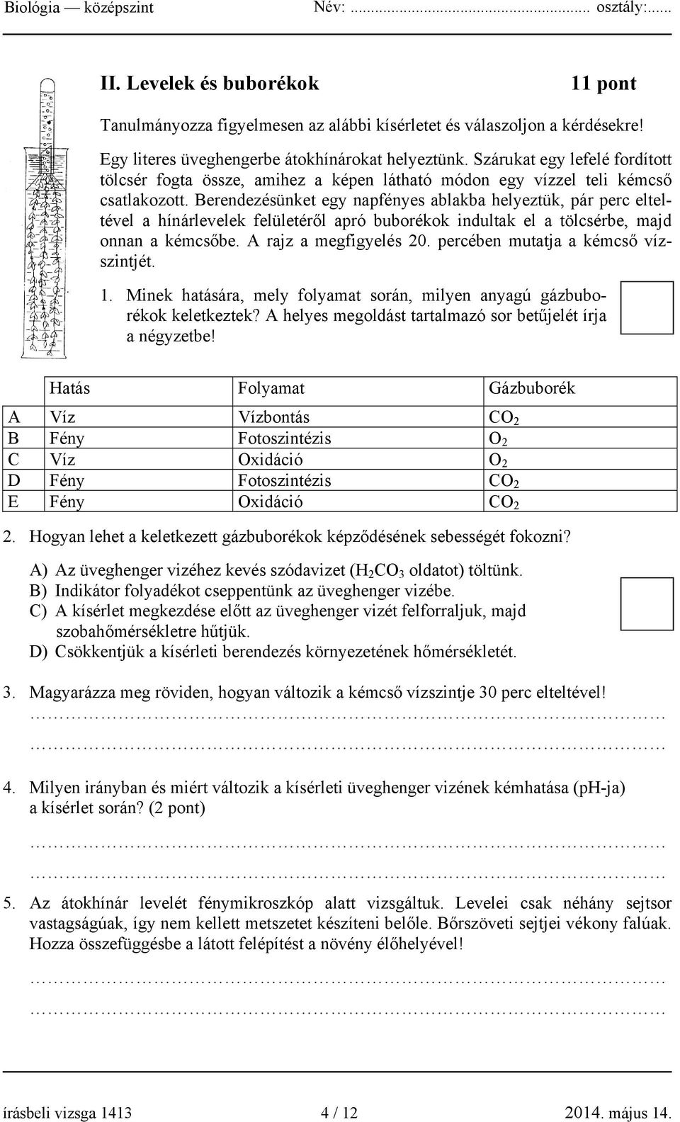 Berendezésünket egy napfényes ablakba helyeztük, pár perc elteltével a hínárlevelek felületéről apró buborékok indultak el a tölcsérbe, majd onnan a kémcsőbe. A rajz a megfigyelés 20.