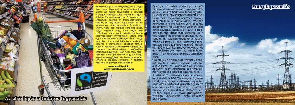 Ez alatt azt értem, hogy sok esetben rengeteg olyan dolgot veszünk meg, mely vagy nem szükséges, vagy pedig kiváltható lenne környezetbarát termékekkel.