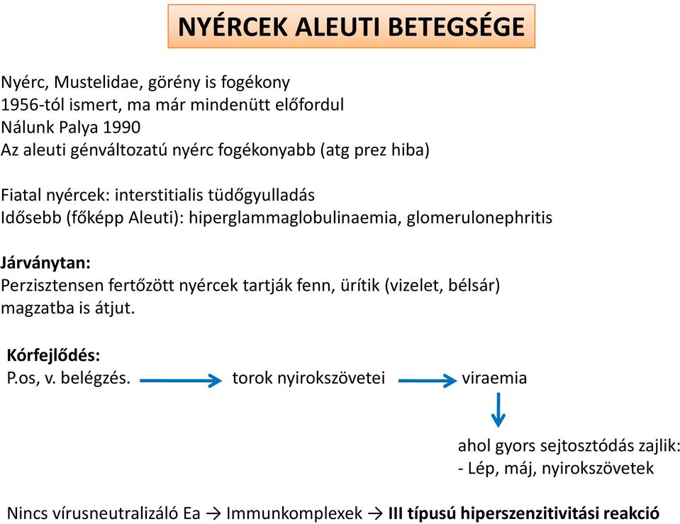 Járványtan: Perzisztensen fertőzött nyércek tartják fenn, ürítik (vizelet, bélsár) magzatba is átjut. Kórfejlődés: P.os, v. belégzés.