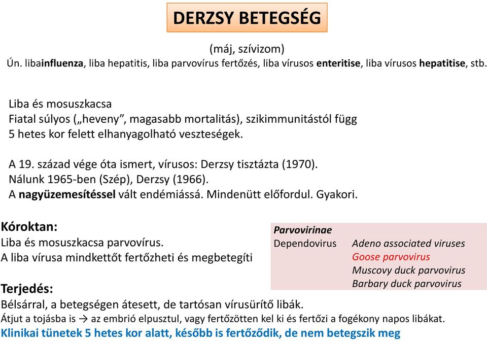 Nálunk 1965-ben (Szép), Derzsy(1966). A nagyüzemesítéssel vált endémiássá. Mindenütt előfordul. Gyakori. Kóroktan: Liba és mosuszkacsa parvovírus.