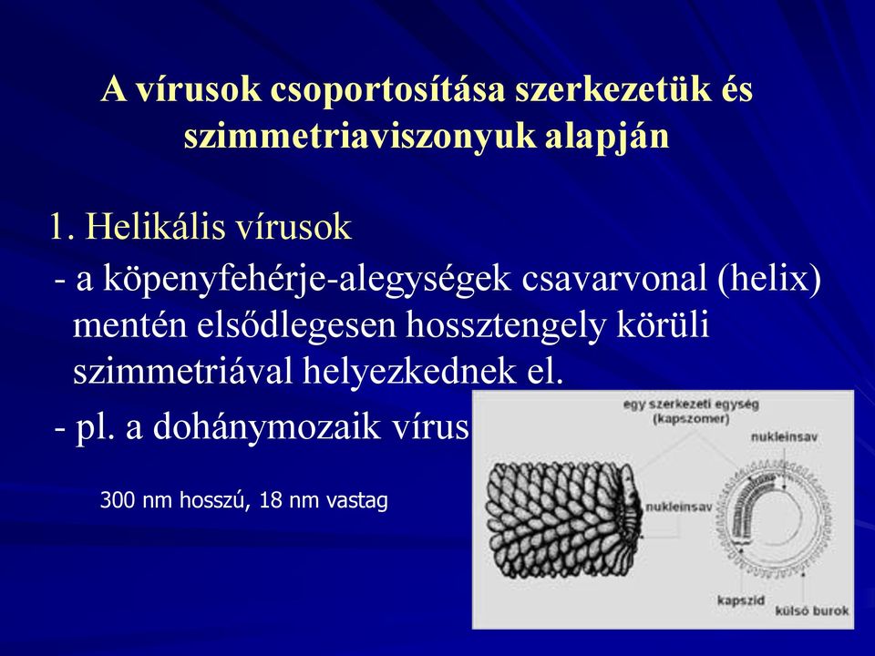 Helikális vírusok - a köpenyfehérje-alegységek csavarvonal