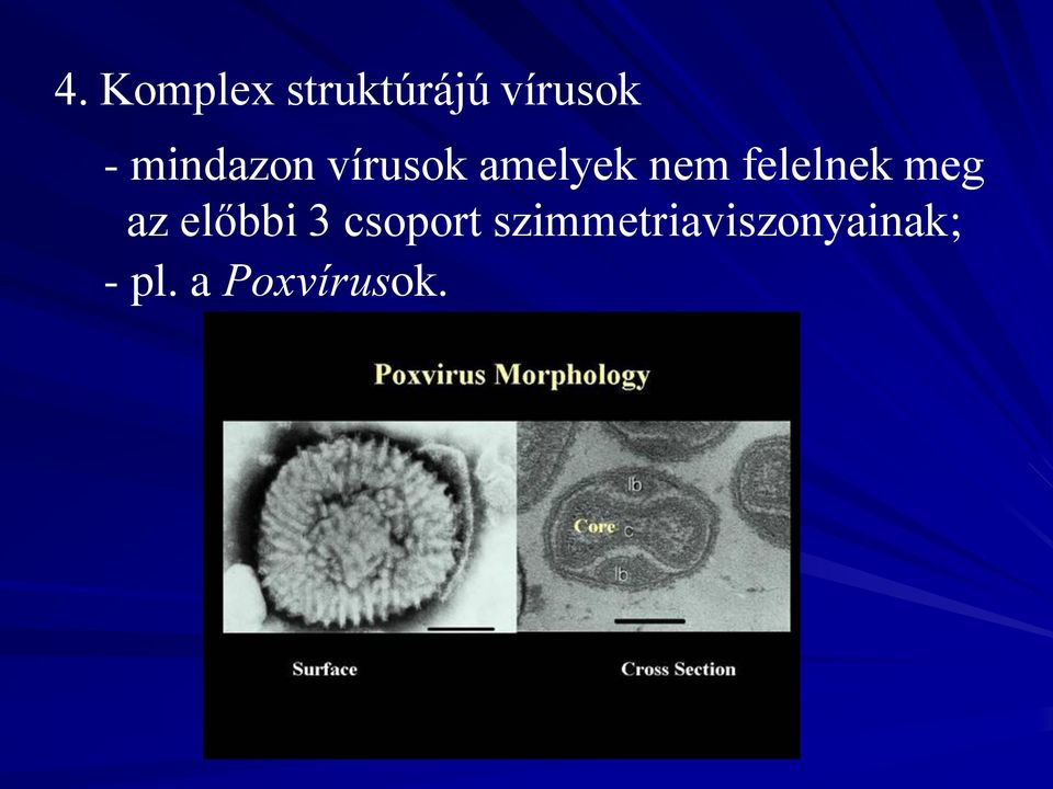 felelnek meg az előbbi 3 csoport
