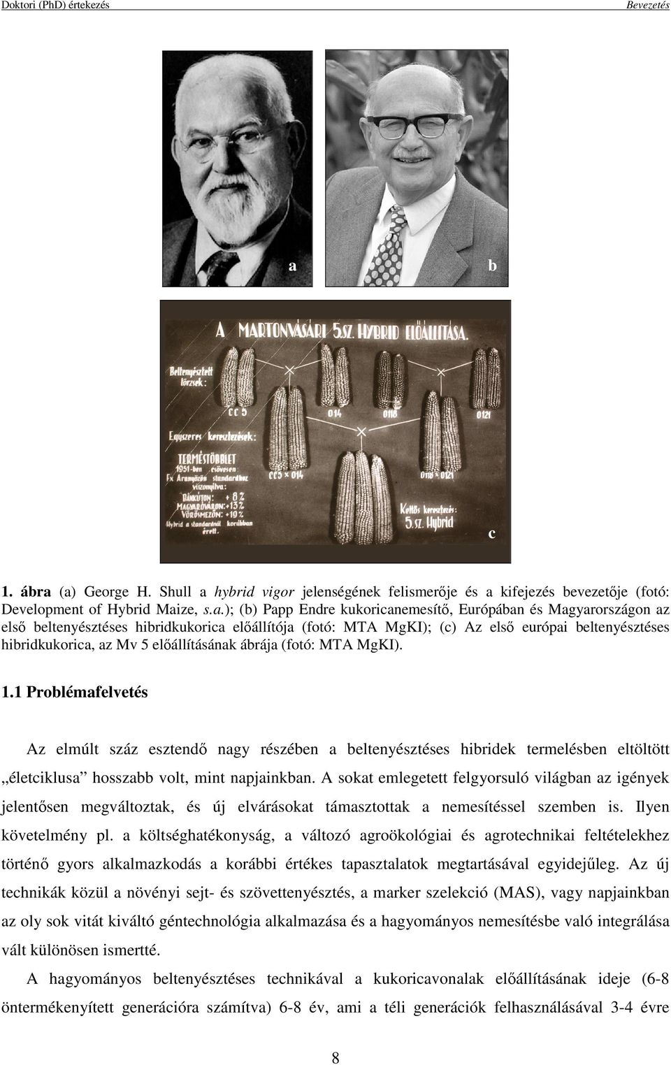 (a) George H. Shull a hybrid vigor jelenségének felismerıje és a kifejezés bevezetıje (fotó: Development of Hybrid Maize, s.a.); (b) Papp Endre kukoricanemesítı, Európában és Magyarországon az elsı