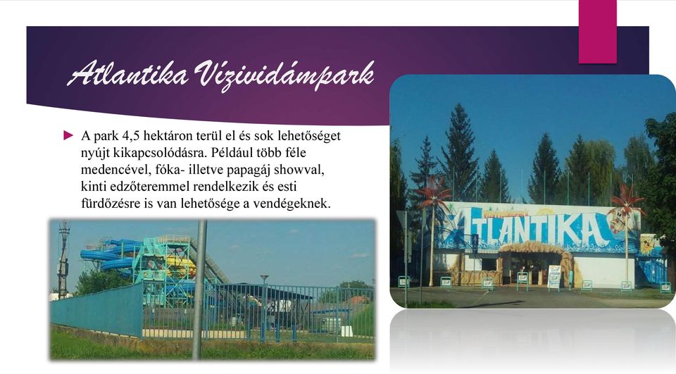 Például több féle medencével, fóka- illetve papagáj