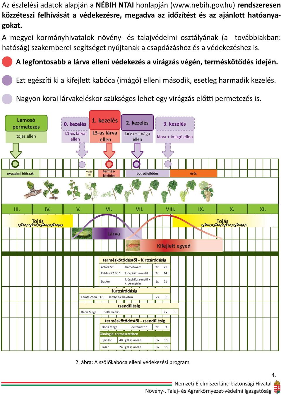 A legfontosabb a lárva elleni védekezés a virágzás végén, terméskötődés idején. Ezt egészíti ki a kifejlett kabóca (imágó) elleni második, esetleg harmadik kezelés.