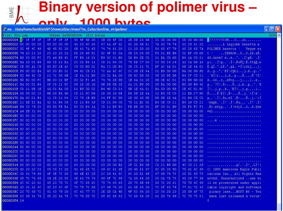 polimer