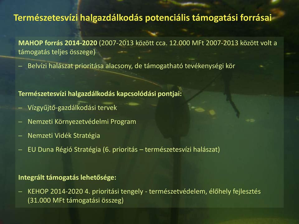halgazdálkodás kapcsolódási pontjai: Vízgyűjtő-gazdálkodási tervek Nemzeti Környezetvédelmi Program Nemzeti Vidék Stratégia EU Duna Régió