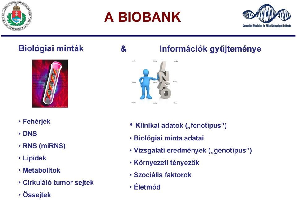 Klinikai adatok ( fenotípus ) Biológiai minta adatai Vizsgálati