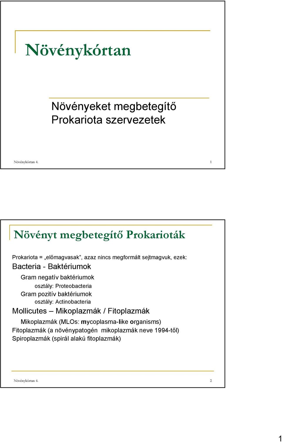 Gram negatív baktériumok osztály: Proteobacteria Gram pozitív baktériumok osztály: Actinobacteria Mollicutes Mikoplazmák /