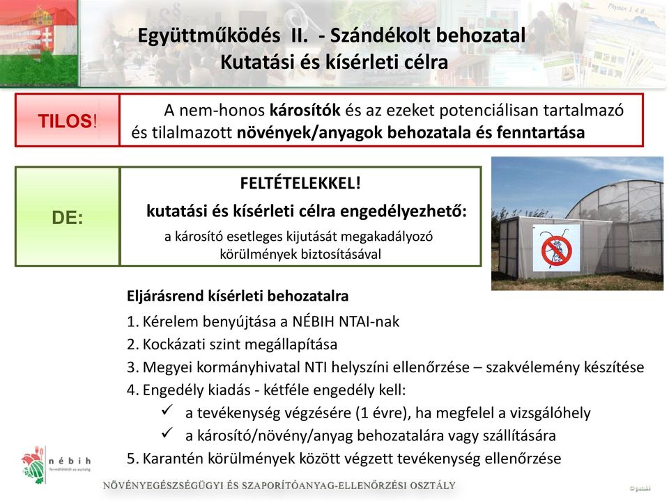 kutatási és kísérleti célra engedélyezhető: a károsító esetleges kijutását megakadályozó körülmények biztosításával Eljárásrend kísérleti behozatalra 1.