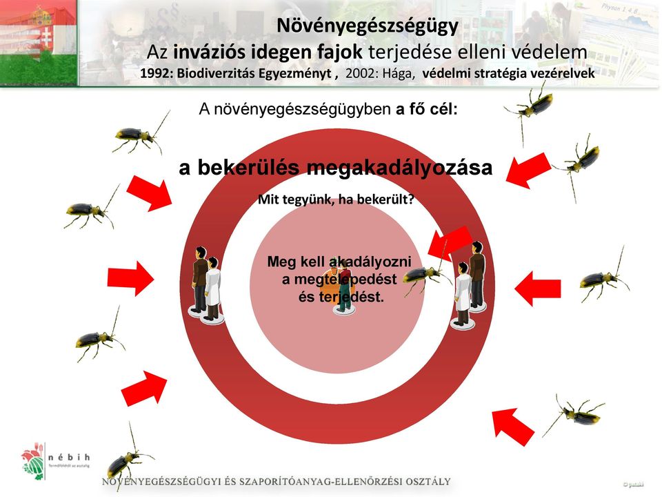 vezérelvek A növényegészségügyben a fő cél: a bekerülés