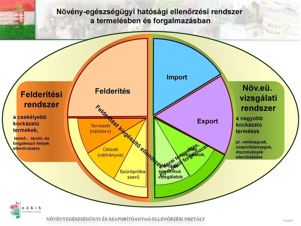 vizsgálati rendszer Felderítés Fe l de r íté Tervezett (hálóterv) st ki Export eg és zí tő, el tés azás Alap Célzott z le s