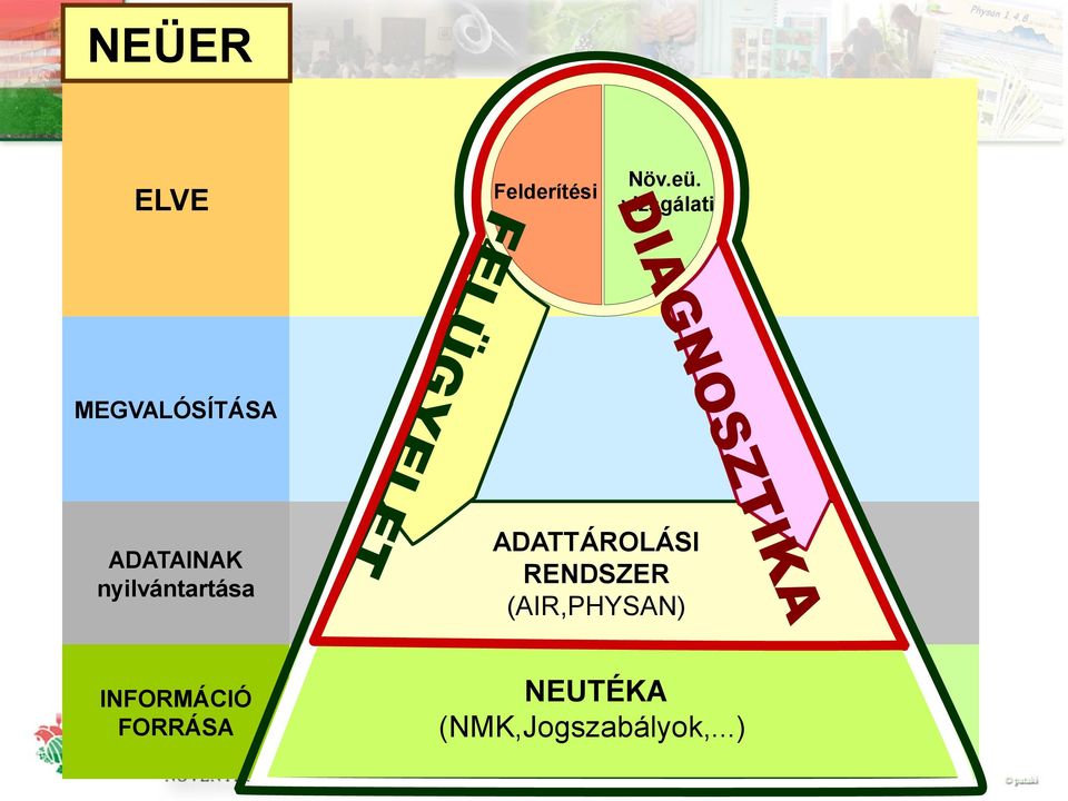 ..) A ADATAINAK nyilvántartása Növ.eü.