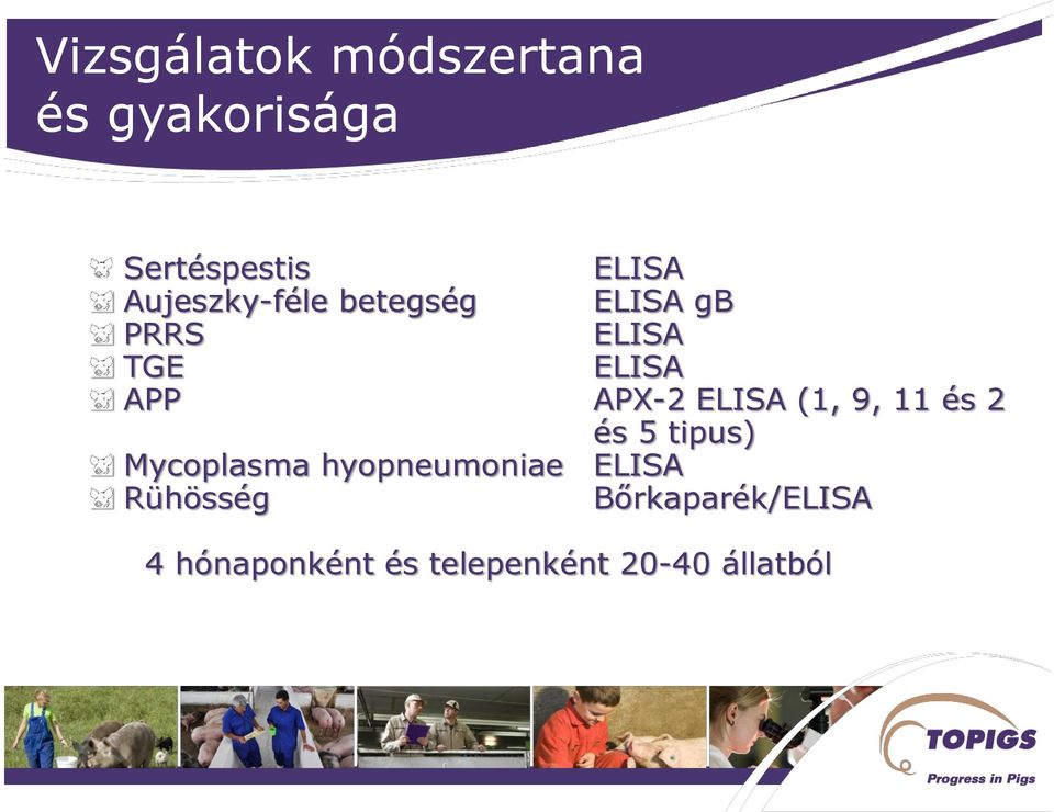 ELISA (1, 9, 11 és 2 és 5 tipus) Mycoplasma hyopneumoniae ELISA