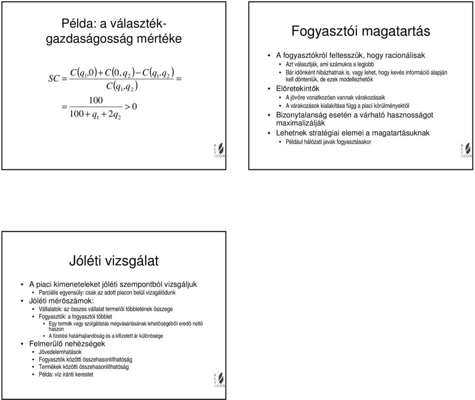 függ a iaci körülményektől Bizonytalanság esetén a várható hasznosságot maximalizálják Lehetnek stratégiai elemei a magatartásuknak Például hálózati javak fogyasztásakor Jóléti vizsgálat A iaci