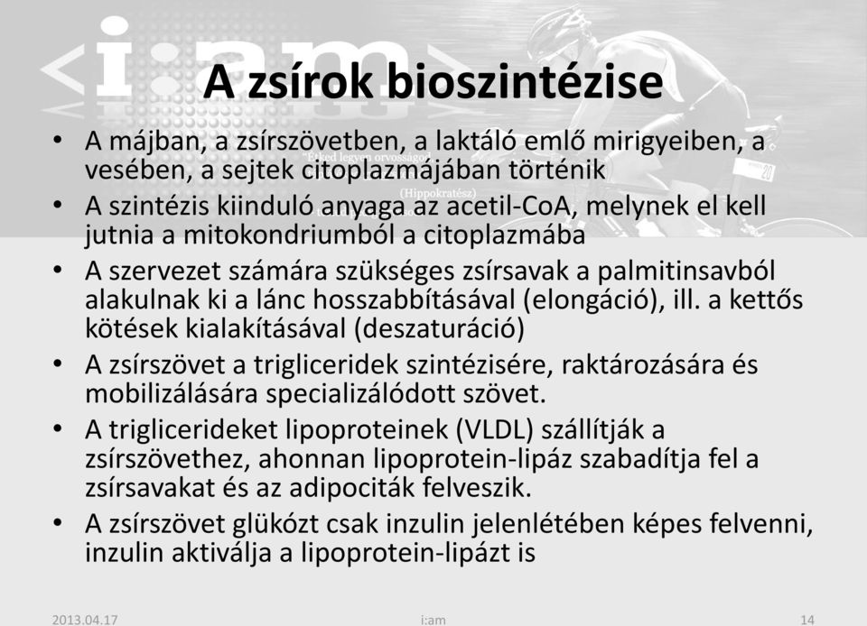 a kettős kötések kialakításával (deszaturáció) A zsírszövet a trigliceridek szintézisére, raktározására és mobilizálására specializálódott szövet.