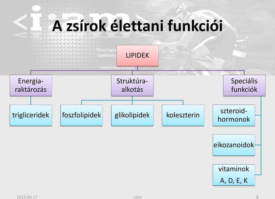 koleszterin Energiaraktározás Struktúraalkotás