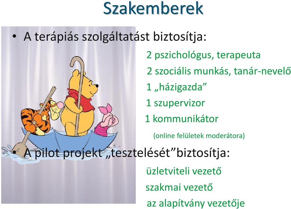 1 kommunikátor (online felületek moderátora) A pilot projekt