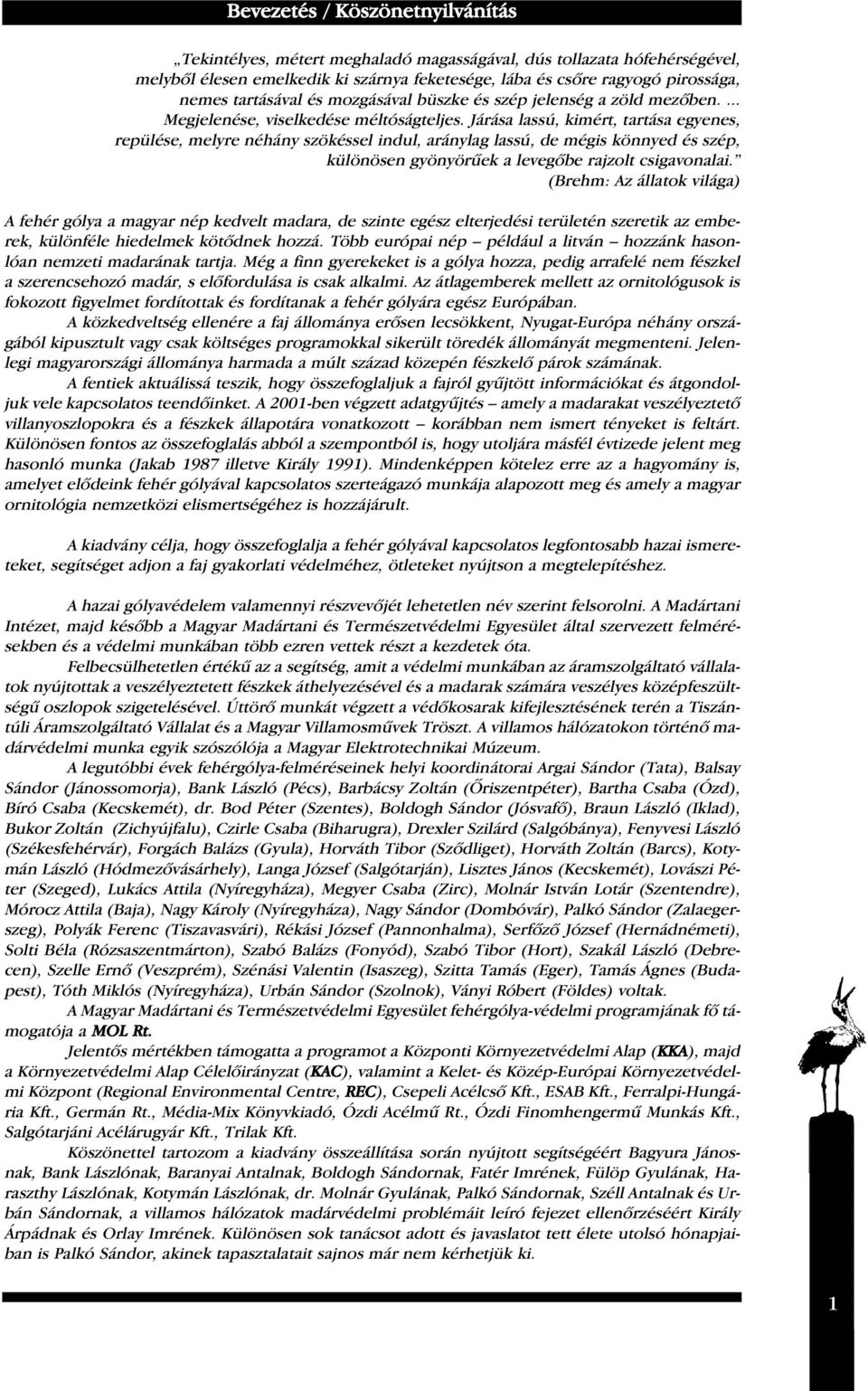 Járása lassú, kimért, tartása egyenes, repülése, melyre néhány szökéssel indul, aránylag lassú, de mégis könnyed és szép, különösen gyönyörûek a levegôbe rajzolt csigavonalai.