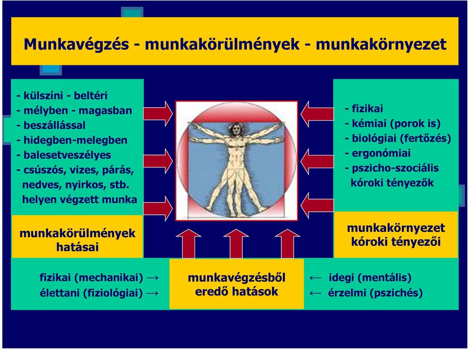 helyen végzett munka - fizikai - kémiai (porok is) - biológiai (fertőzés) - ergonómiai - pszicho-szociális kóroki