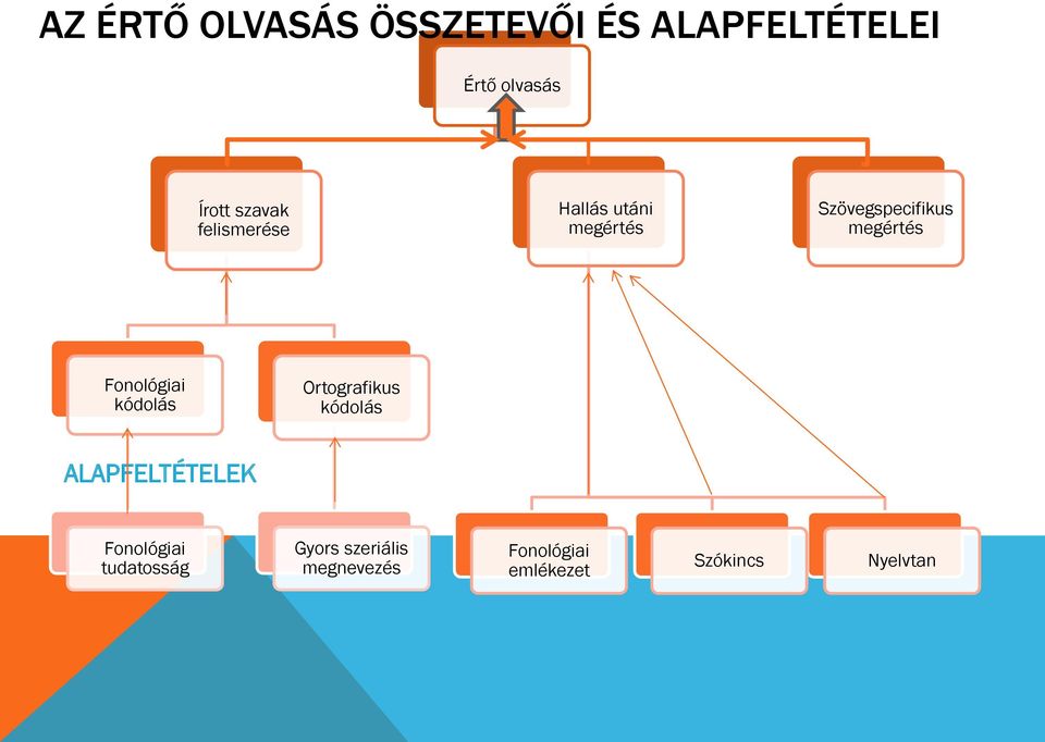 Fonológiai kódolás Ortografikus kódolás ALAPFELTÉTELEK Fonológiai