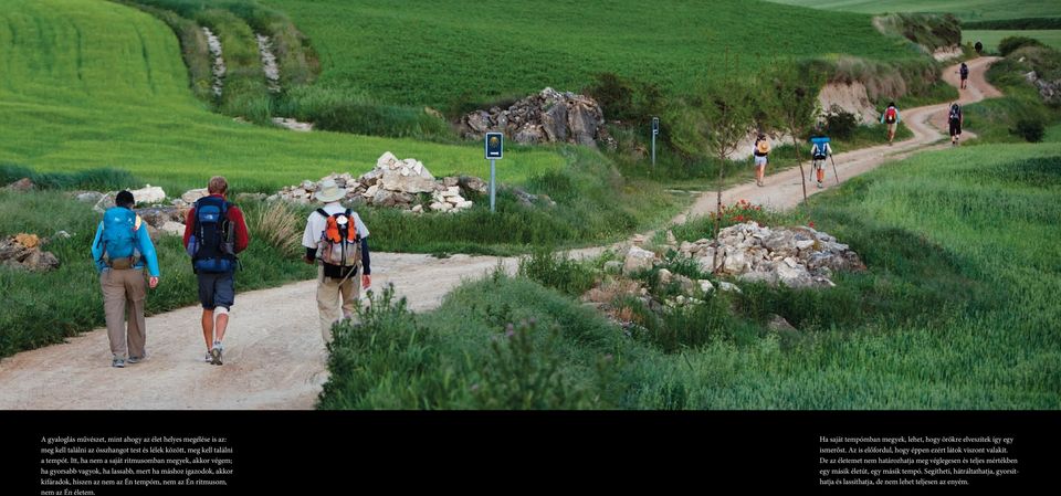 ritmusom, nem az Én életem. Ha saját tempómban megyek, lehet, hogy örökre elveszítek így egy ismerőst. Az is előfordul, hogy éppen ezért látok viszont valakit.
