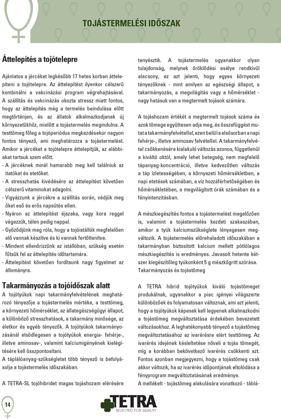 A szállítás és vakcinázás okozta stressz miatt fontos, hogy az áttelepítés még a termelés beindulása előtt megtörténjen, és az állatok alkalmazkodjanak új környezetükhöz, mielőtt a tojástermelés