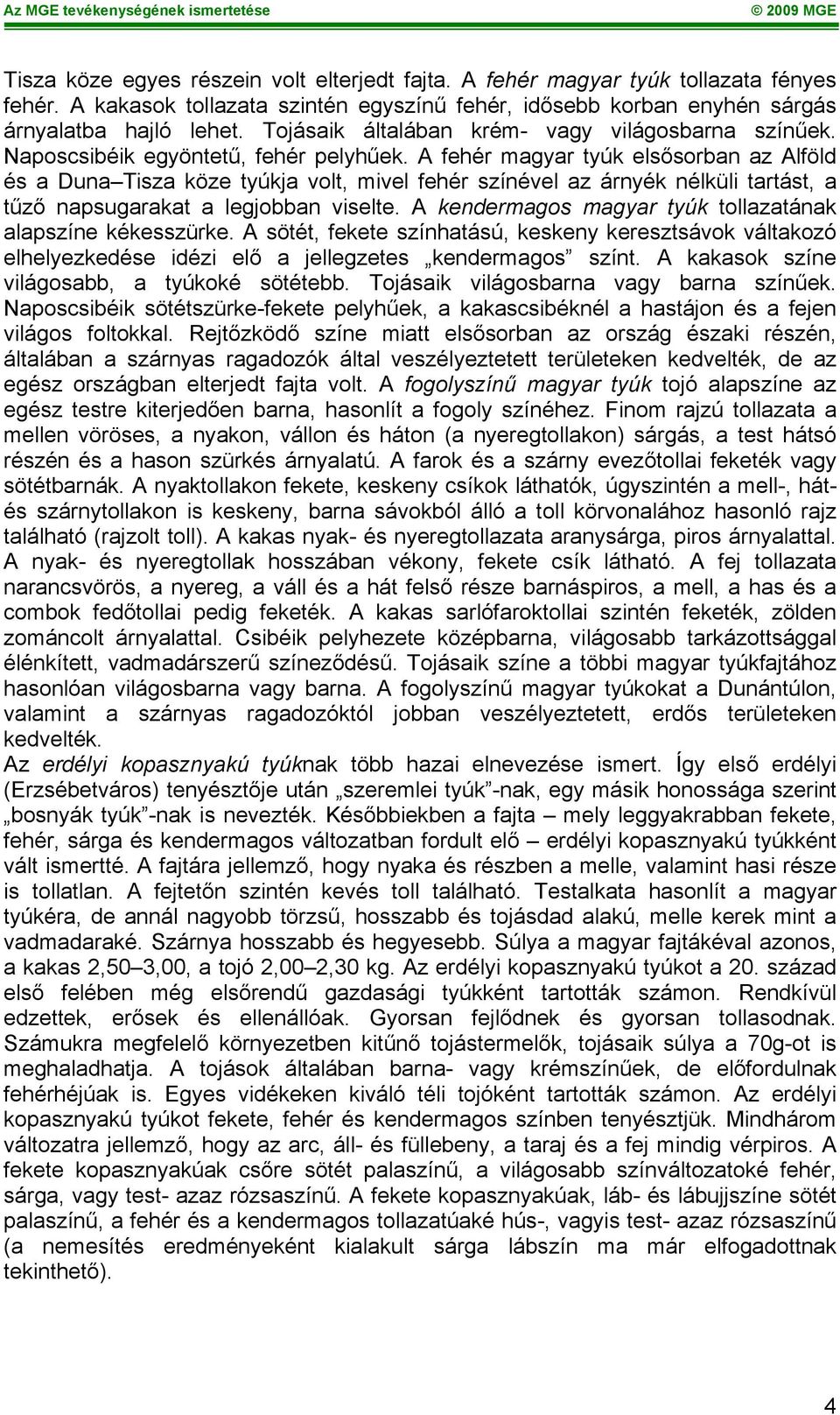 A fehér magyar tyúk elsősorban az Alföld és a Duna Tisza köze tyúkja volt, mivel fehér színével az árnyék nélküli tartást, a tűző napsugarakat a legjobban viselte.