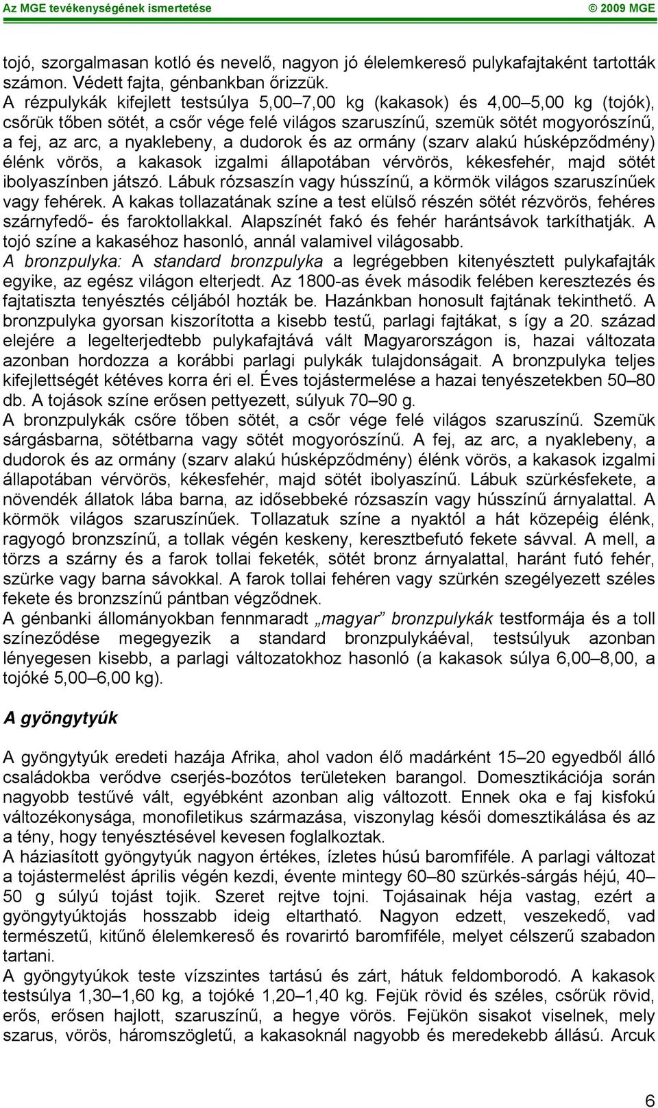 dudorok és az ormány (szarv alakú húsképződmény) élénk vörös, a kakasok izgalmi állapotában vérvörös, kékesfehér, majd sötét ibolyaszínben játszó.