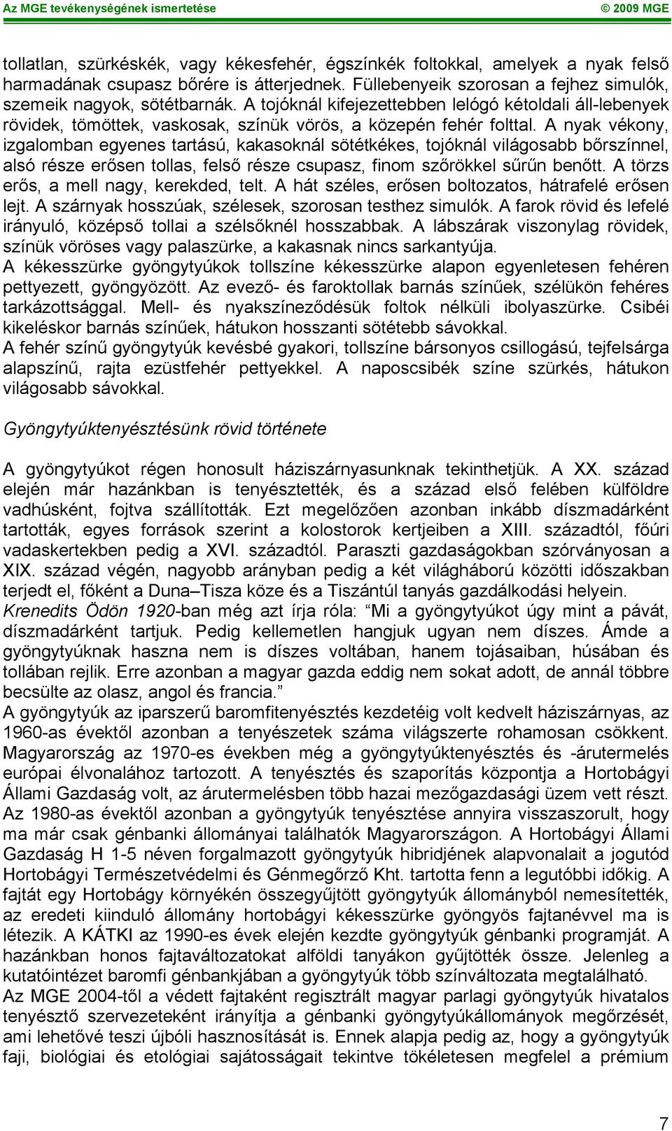 A nyak vékony, izgalomban egyenes tartású, kakasoknál sötétkékes, tojóknál világosabb bőrszínnel, alsó része erősen tollas, felső része csupasz, finom szőrökkel sűrűn benőtt.