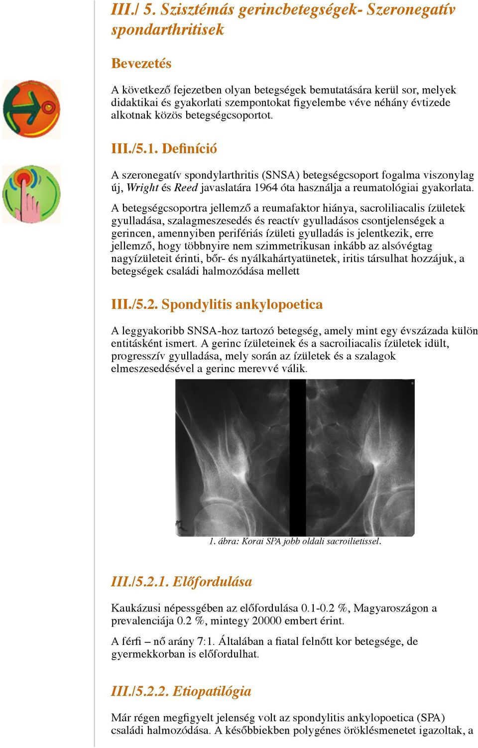 néhány évtizede alkotnak közös betegségcsoportot. III./5.1.