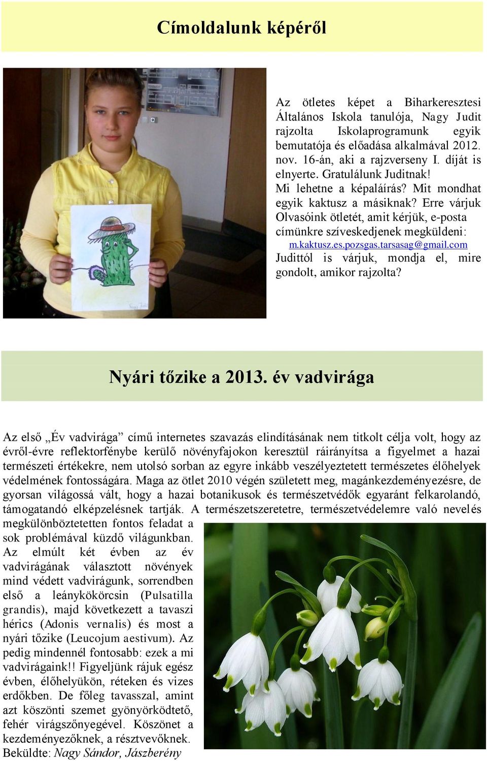 kaktusz.es.pozsgas.tarsasag@gmail.com Judittól is várjuk, mondja el, mire gondolt, amikor rajzolta? Nyári tőzike a 2013.