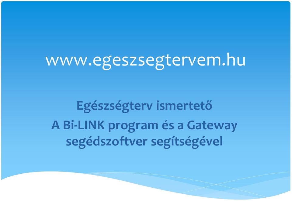 A Bi-LINK program és a