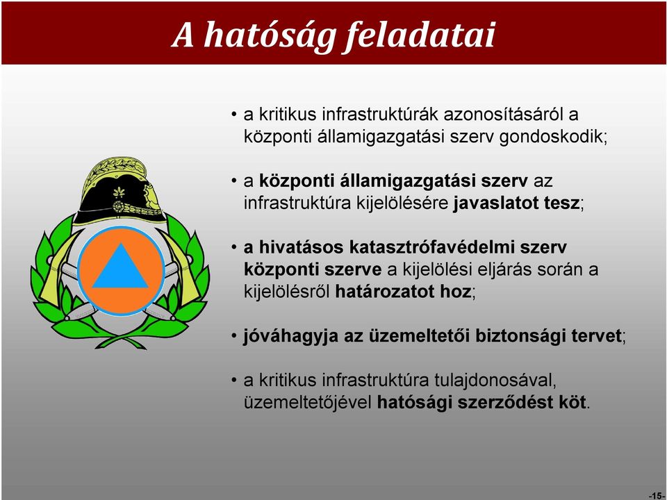 katasztrófavédelmi szerv központi szerve a kijelölési eljárás során a kijelölésről határozatot hoz;