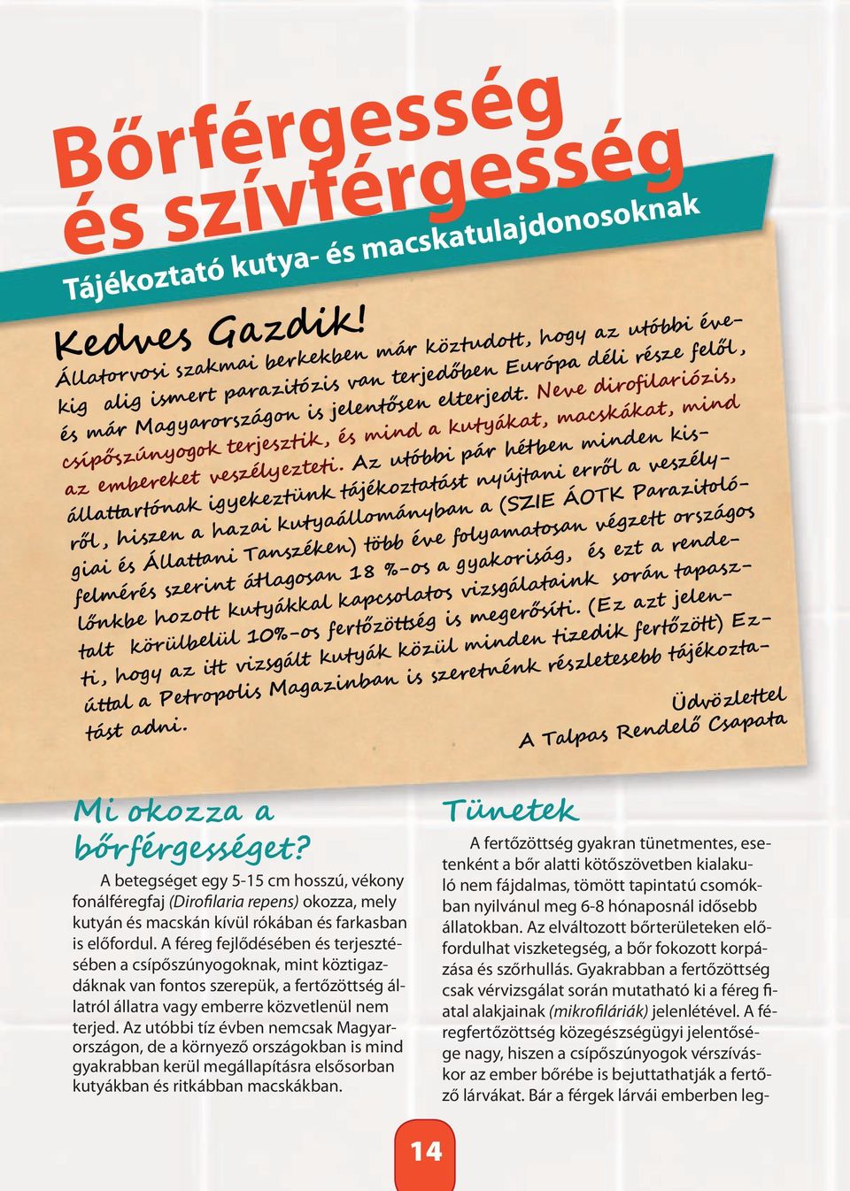Neve dirofilariózis, csípőszúnyogok terjesztik, és mind a kutyákat, macskákat, mind az embereket veszélyezteti.