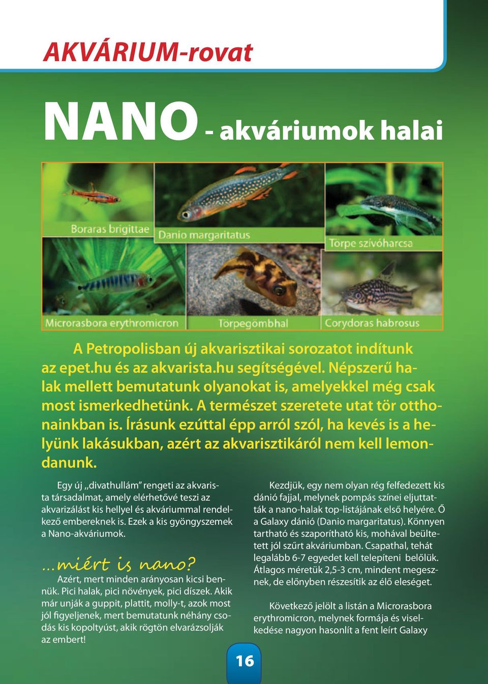 Írásunk ezúttal épp arról szól, ha kevés is a helyünk lakásukban, azért az akvarisztikáról nem kell lemondanunk.