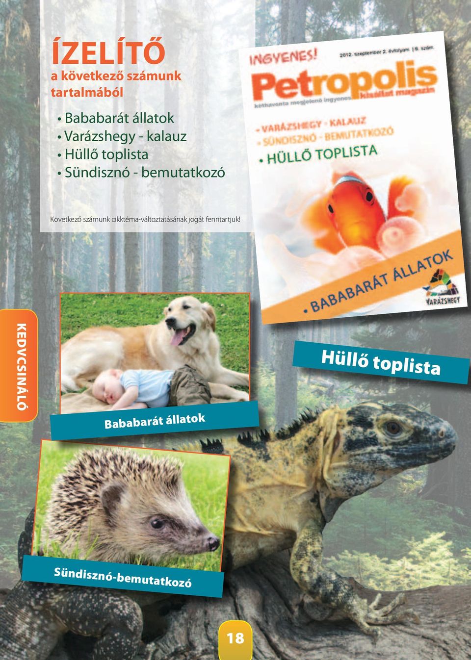 Következő számunk cikktéma-változtatásának jogát fenntartjuk!