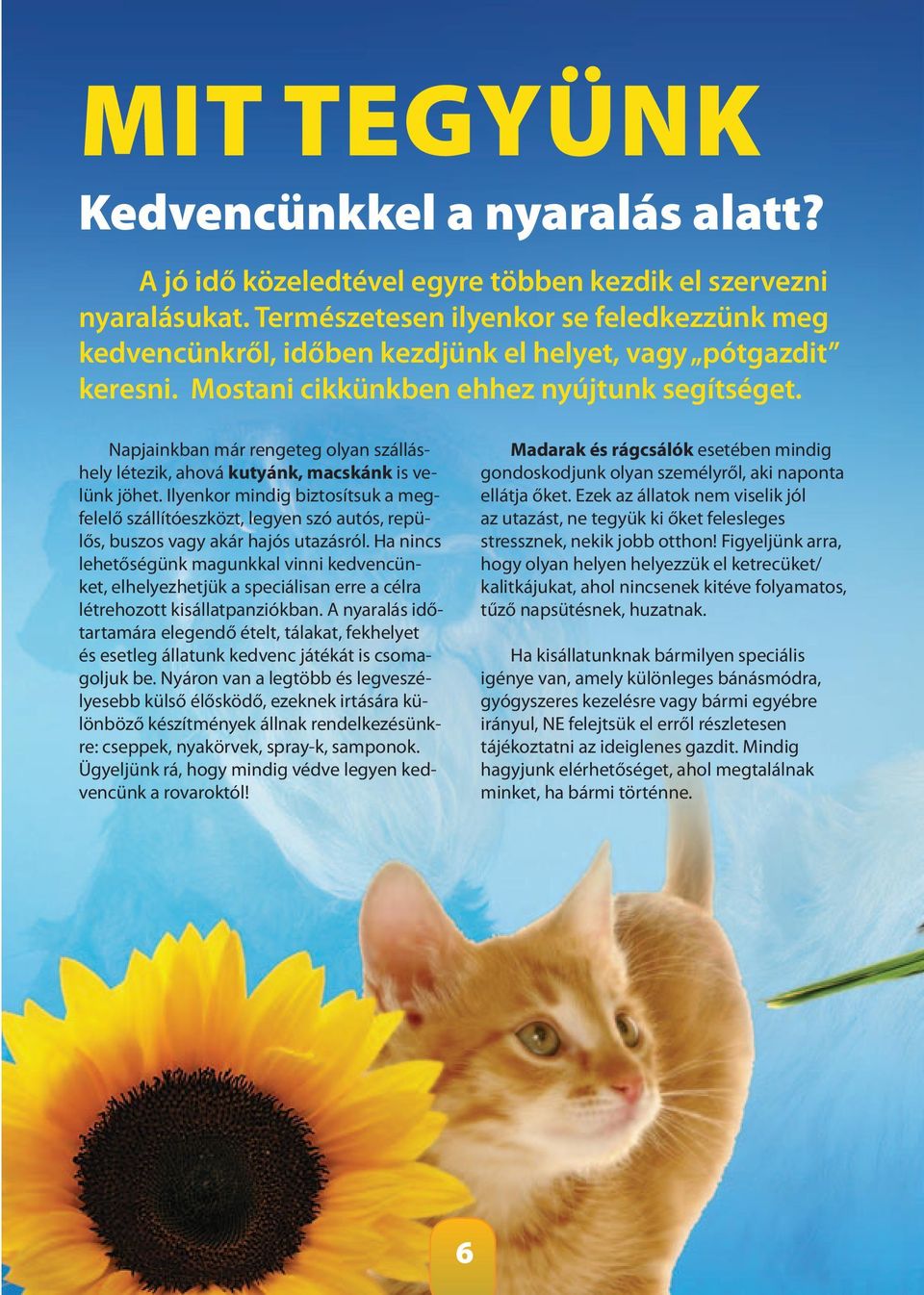 Napjainkban már rengeteg olyan szálláshely létezik, ahová kutyánk, macskánk is velünk jöhet.