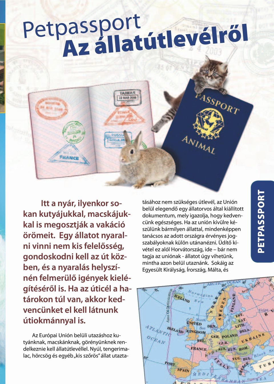 Ha az úticél a határokon túl van, akkor kedvencünket el kell látnunk útiokmánnyal is. Az Európai Unión belüli utazáshoz kutyánknak, macskánknak, görényünknek rendelkeznie kell állatútlevéllel.