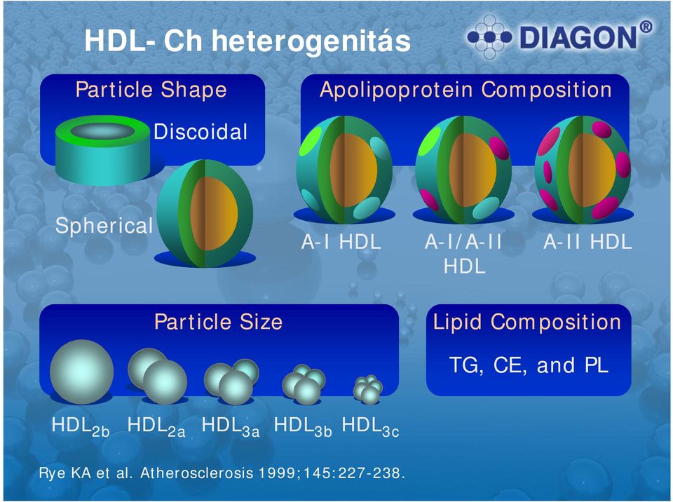 HDL Particle Size Lipid Composition TG, CE, and PL HDL 2b HDL