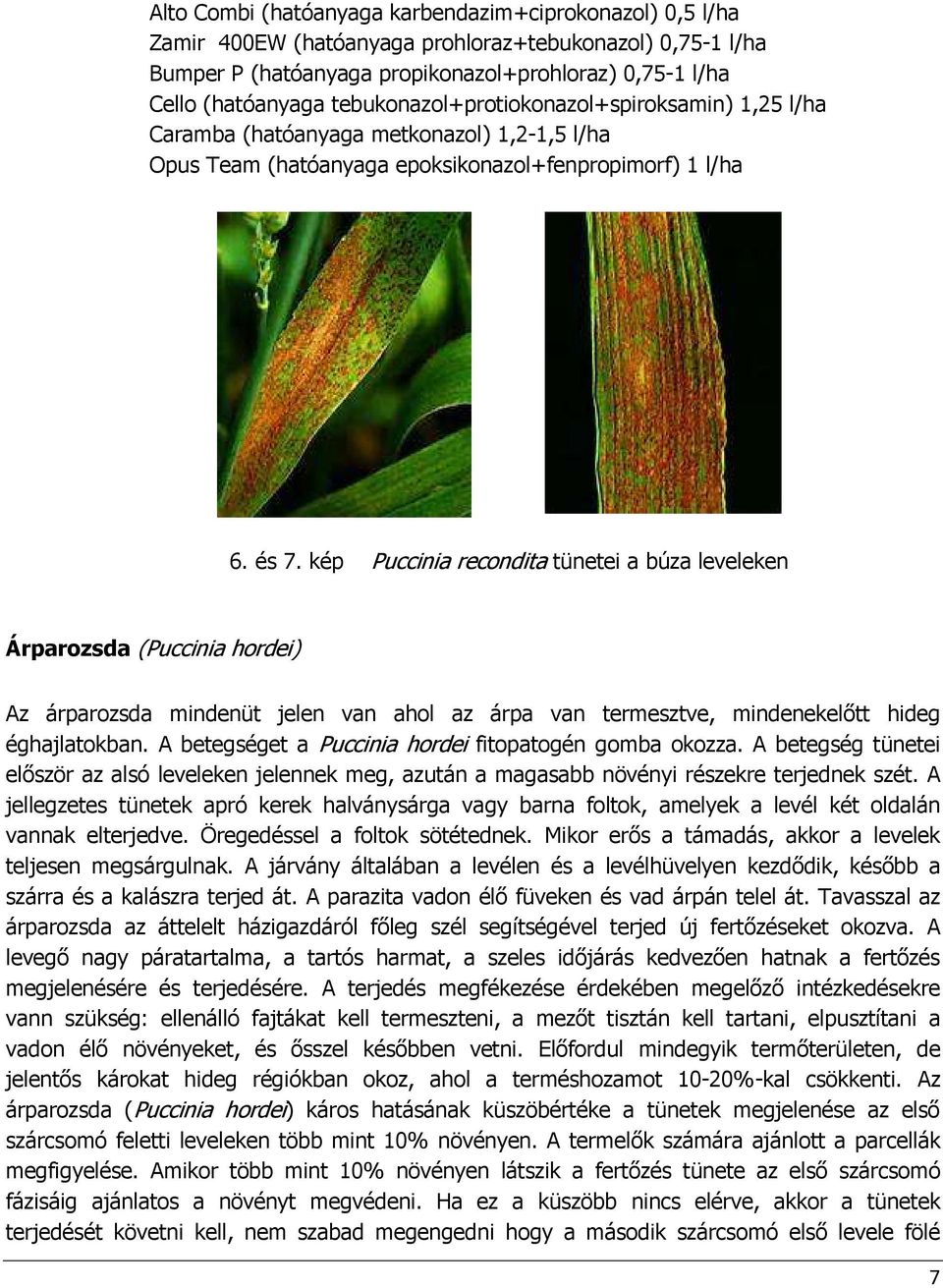 A betegséget a Puccinia hordei fitopatogén gomba okozza. A betegség tünetei elıször az alsó leveleken jelennek meg, azután a magasabb növényi részekre terjednek szét.