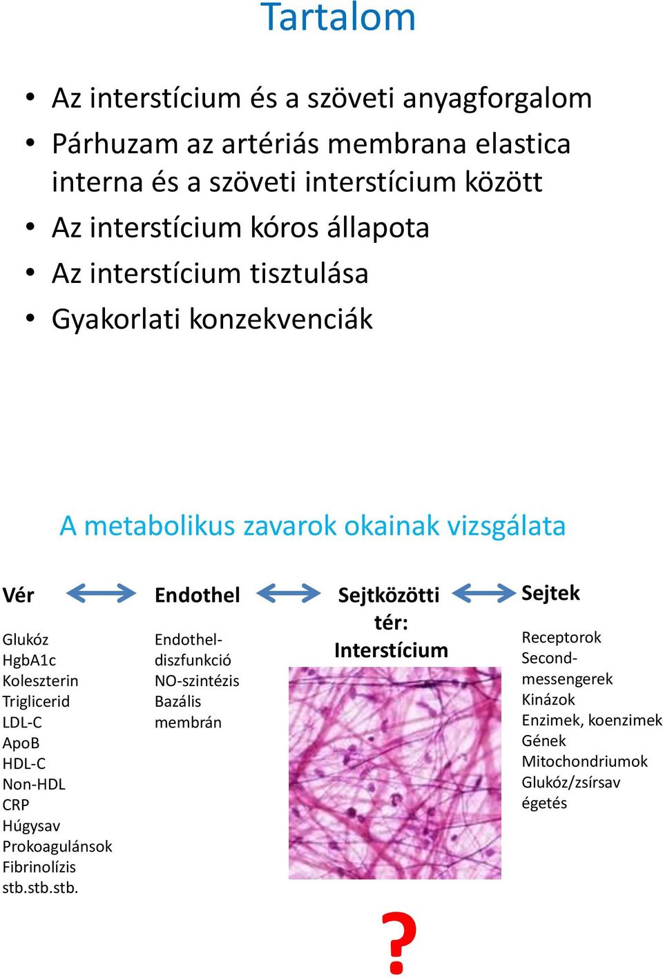 Koleszterin Triglicerid LDL-C ApoB HDL-C Non-HDL CRP Húgysav Prokoagulánsok Fibrinolízis stb.